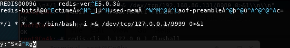 -w558
