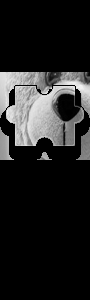 OpenCV 初接触 · 图示